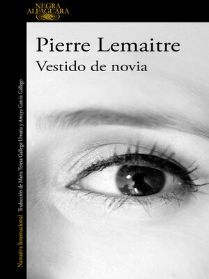cover image of Vestido de novia